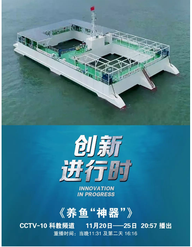 風(fēng)再猛、浪再大，都攔不住我養(yǎng)魚的雄心！