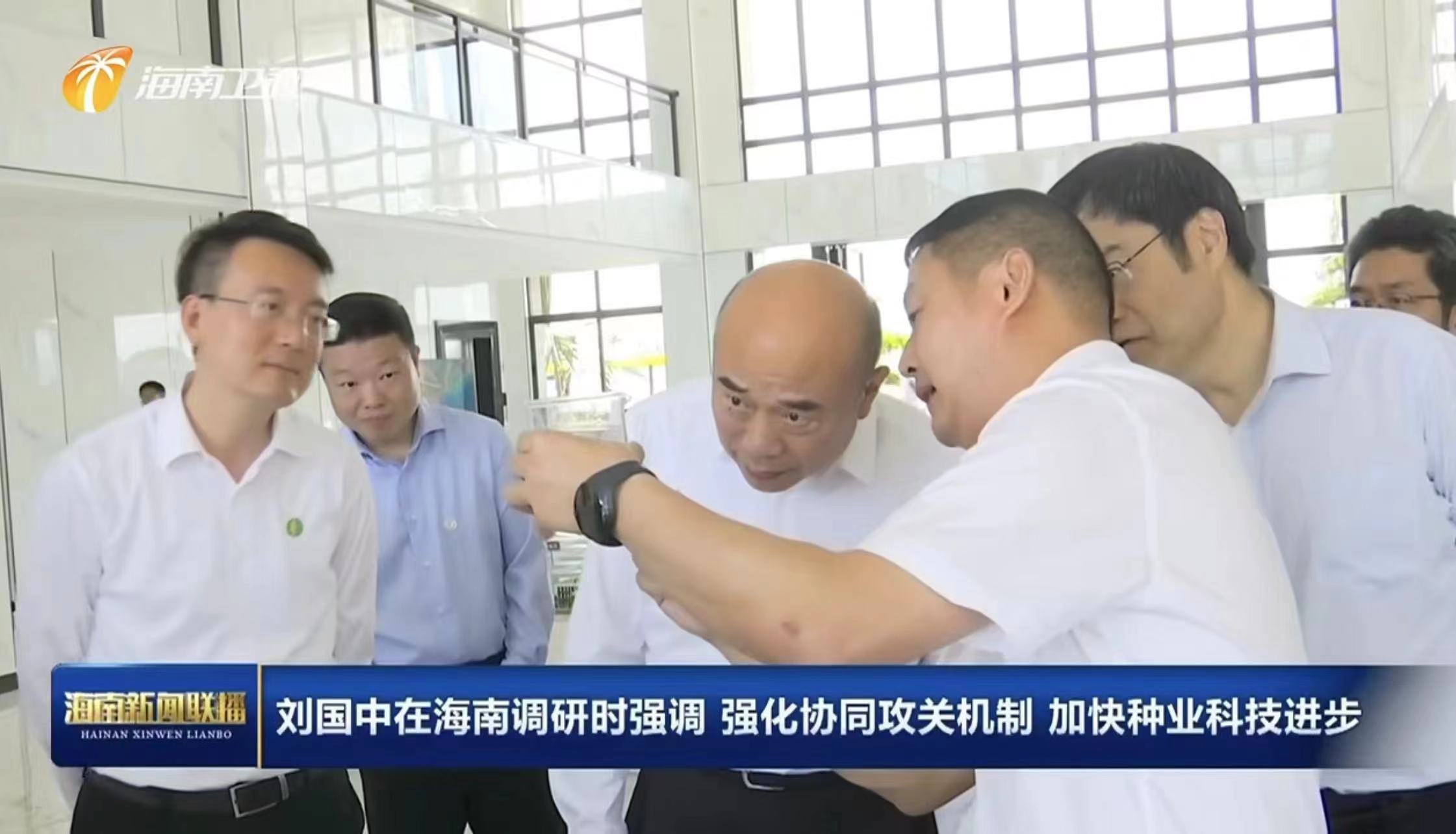 中共中央政治局委員，國務院副總理、黨組成員劉國中在海南調(diào)研時強調(diào) 強化協(xié)同攻關機制 加快種業(yè)科技創(chuàng)新